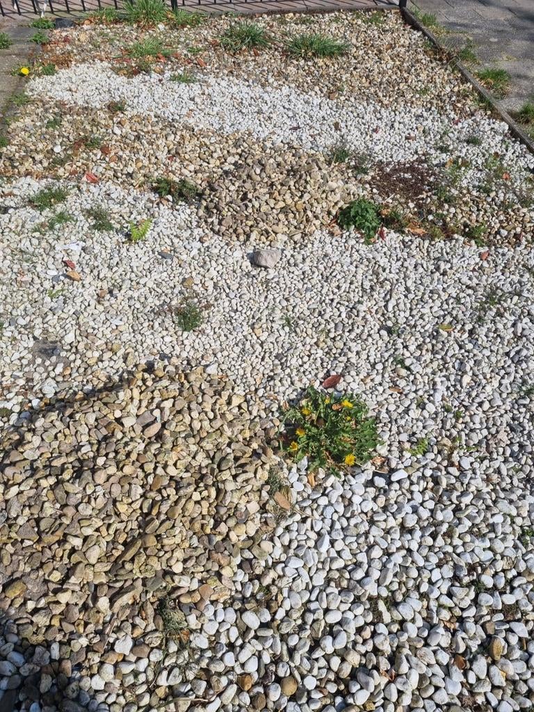 Grind Gratis op te halen in Apeldoorn, Ophalen of Verzenden