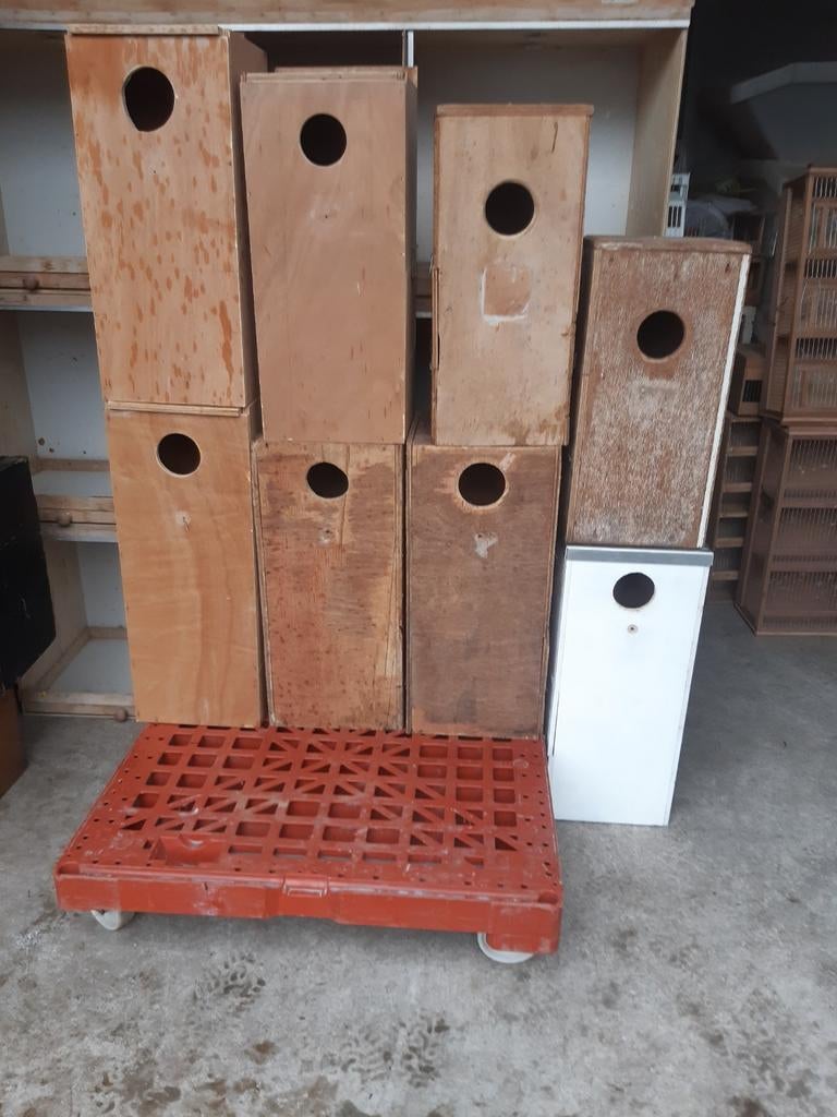 8 grote broedblokken, Ophalen, Gebruikt, Hout, Overige typen