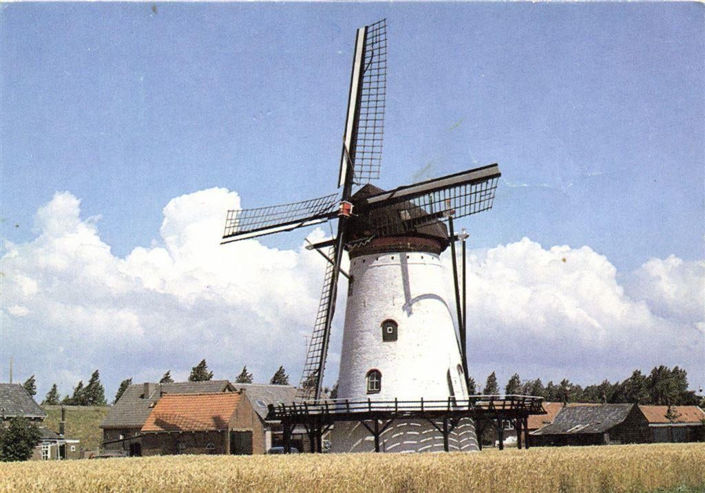 Stellingmolen De Korenbloem - Scherpenisse gem. Tholen - 198, Ophalen of Verzenden, Voor 1920, Gelopen, Noord-Brabant