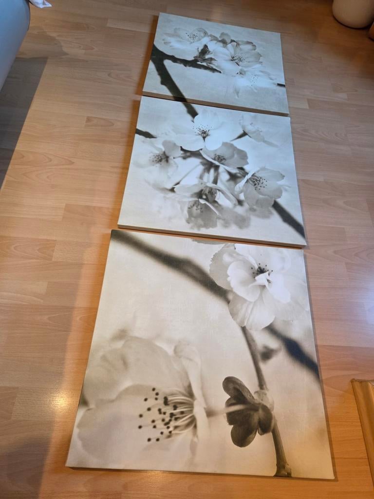 3 luik van Ikea, Huis en Inrichting, Woonaccessoires | Schilderijen, Tekeningen en Foto's, Ophalen, Gebruikt, 50 tot 75 cm, Schilderij
