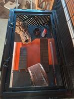 Cavia kooi, Ophalen of Verzenden, Hond