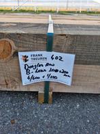 pak 402 B-keus Douglas ruw 200x200mm palen staanders ligger, Ophalen, Nieuw, 250 cm of meer, Balken