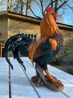 Beeld Haan, tuin, vijver, gazon, boerderij 50cm, Tuin en Terras, Tuinbeelden, Ophalen, Nieuw, Kunststof, Dierenbeeld