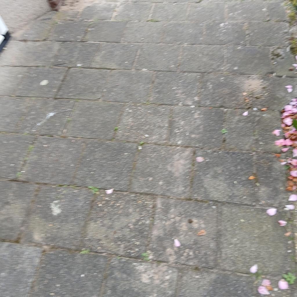 Plavuizen stoeptegel plavuis, Ophalen of Verzenden, Beton, Overige typen