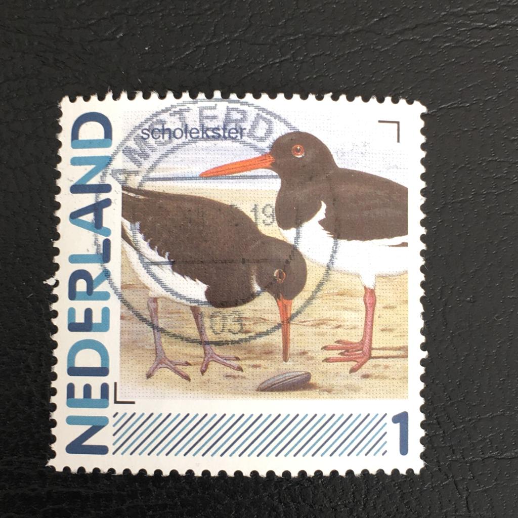 2973 Persoonlijk - Scholekster - gestempeld, Ophalen of Verzenden, Na 1940, Gestempeld