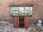 Juwel Aquarium 100 cm + kast – compleet set, Ophalen, Gebruikt, Leeg aquarium