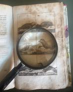 beknopte natuurlijke historie der zoogende dieren., Ophalen of Verzenden, I.D.Pasteur