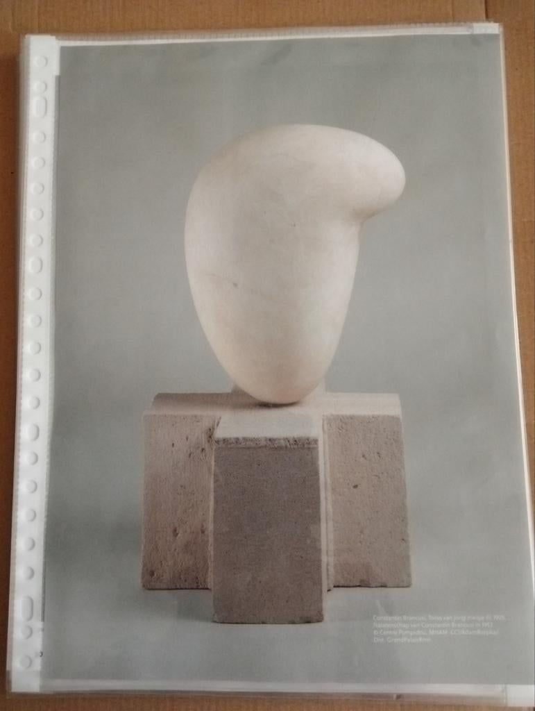 Constantin Brancusi artikel, Verzamelen, Tijdschriften, Kranten en Knipsels, Ophalen of Verzenden, 1960 tot 1980, Knipsel(s)