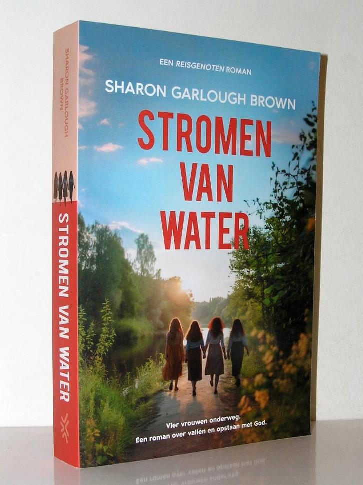 Sharon Garlough Brown - Scherven van licht (christelijk), Boeken, Romans, Zo goed als nieuw, Ophalen of Verzenden