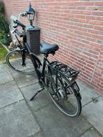 Sparta ion blackline, Ophalen, Sparta, Gebruikt, 51 tot 55 cm