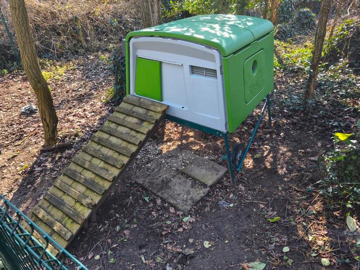 Omlet cube geïsoleerd kippenhok, Dieren en Toebehoren, Vogels | Hokken en Kooien, Gebruikt, Overige typen, Kunststof, Ophalen
