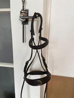 Hoofdstel bitloos paard, Dieren en Toebehoren, Paarden en Pony's | Hoofdstellen en Tuigage, Ophalen of Verzenden, Zo goed als nieuw