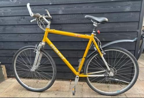 Giant Mountainbike, Fietsen en Brommers, Fietsen | Mountainbikes en ATB, Gebruikt, Heren, Giant, 57 cm of meer, Hardtail, Ophalen