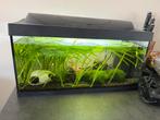 Aquarium Tetra 54L, Ophalen, Zo goed als nieuw, Gevuld zoetwateraquarium