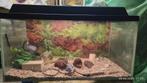 Aquarium moet snel weg, Ophalen of Verzenden, Gebruikt, Leeg aquarium