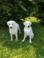 Blonde Labradors, Ophalen