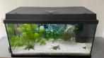 Juwel Primo 110 L Zwart zonder meubel, Dieren en Toebehoren, Vissen | Aquaria en Toebehoren, Ophalen, Gebruikt, Leeg aquarium
