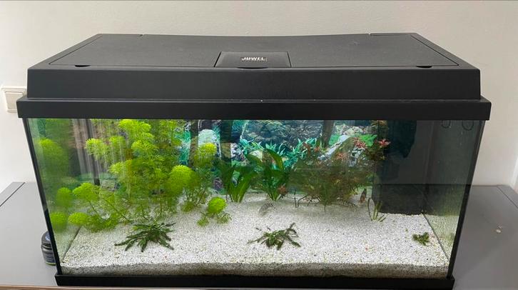 Juwel Primo 110 L Zwart zonder meubel, Dieren en Toebehoren, Vissen | Aquaria en Toebehoren, Gebruikt, Leeg aquarium, Ophalen