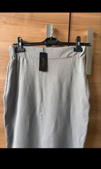 Grijze rok - INVEÉ, Kleding | Dames, Rokken, Maat 38/40 (M), Nieuw, Ophalen of Verzenden, Invee