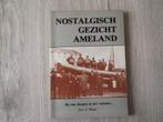 Nostalgisch gezicht Ameland., Boeken, 20e eeuw of later, Verzenden, Zo goed als nieuw, Zie beschrijving