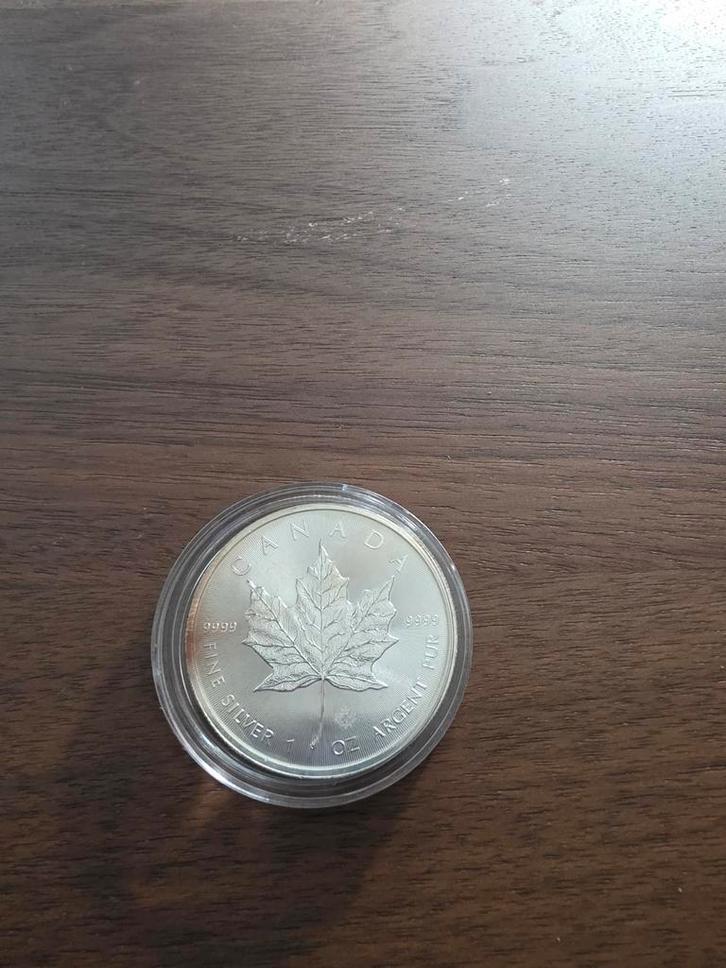 Maple Leaf 1 oz Zilver 2015 - Verkleurd, Postzegels en Munten, Munten | Nederland, Losse munt, Overige waardes, Vóór koninkrijk