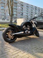Harley davidson v rod VRSCDX Special, Motoren, Motoren | Harley-Davidson, 2 cilinders, Chopper, Particulier, Meer dan 35 kW