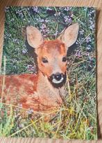 Hert, Verzenden, 1940 tot 1960, Gelopen, Hond of Kat