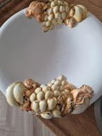 Vaas  potten  en schaal, Ophalen of Verzenden, Halfschaduw, Minder dan 100 cm