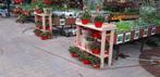 Oppottafel van onbehandeld Douglashout., Tuin en Terras, Ophalen of Verzenden, Nieuw