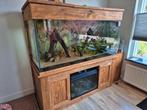 Aquarium maanvis eheim, Dieren en Toebehoren, Ophalen