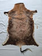 Antilope huid, Verzamelen, Dierenverzamelingen, Ophalen of Verzenden, Zo goed als nieuw, Beeldje of Figuurtje