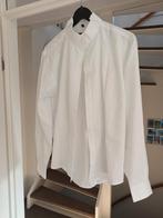 Paardrijbroek/ blouse , plastron, haarstrikje met netje, Gebruikt, Dressuur, Ophalen of Verzenden, Dames