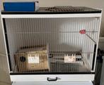Vogelkooi/broedkooi inclusief verlichting, Ophalen, Gebruikt, Kunststof, Broedkooi of Kweekkooi