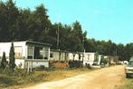 963850 Haelen Camping Leudal L Mooie Oude kaart onbeschreven, Ophalen of Verzenden, 1980 tot heden, Ongelopen, Noord-Brabant