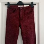Queen Hearts nieuw bordeaux rode broek super skinny XS 34612, Kleding | Dames, Broeken en Pantalons, ., Nieuw, Ophalen of Verzenden