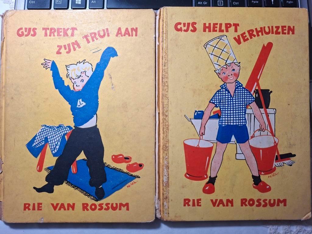 Gijs Grappius Serie - Rie van Rossum, Boeken, Gelezen, Fictie algemeen, Rie van Rossum, Ophalen of Verzenden