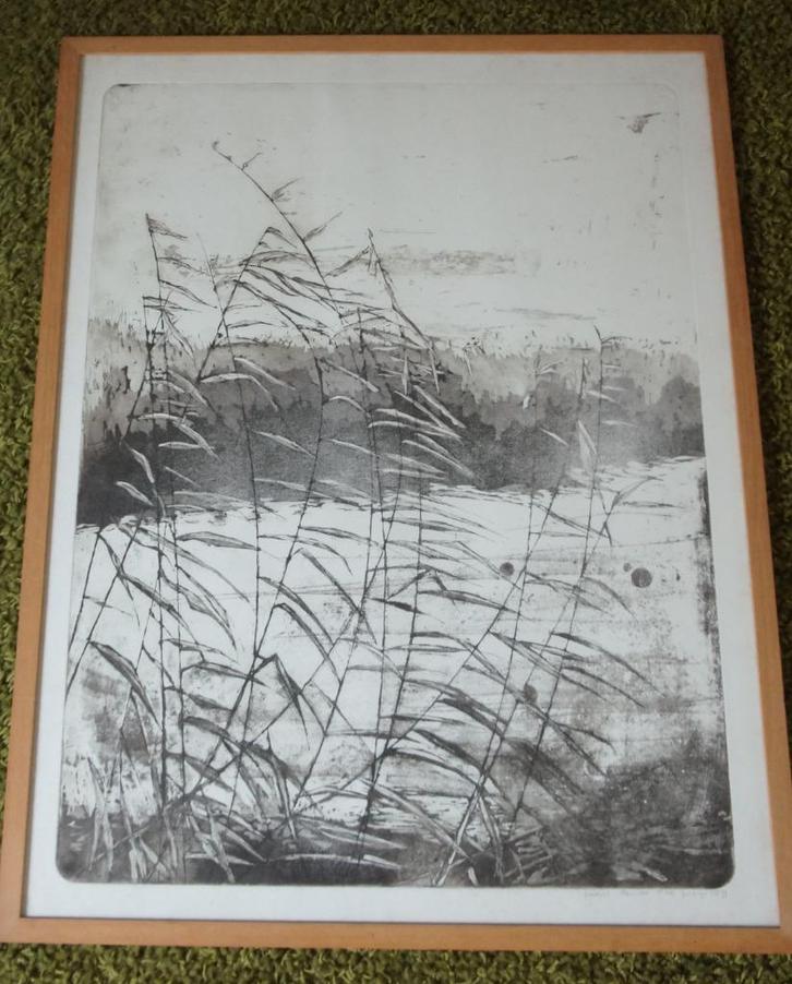 etsen te koop, Antiek en Kunst, Kunst | Etsen en Gravures, Ophalen