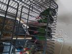 Pyrrhura parkietenn, Dieren en Toebehoren, Vogels | Parkieten en Papegaaien, Meerdere dieren, Parkiet