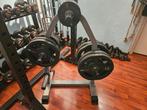 Lifemaxx olympische schijven incl schijvenrek, Sport en Fitness, Ophalen, Zo goed als nieuw, Metaal