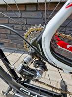 Wilier Cento 1 carbon racefiets maat 55 cm campagnolo record, Overige merken, Gebruikt, Carbon, Heren