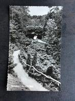 Apeldoorn, Berg en Bos, Verzenden, 1960 tot 1980, Ongelopen, Gelderland