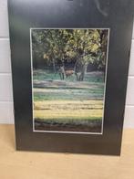 Fotolijsten hout leer kunststof veel verschillende, Ophalen of Verzenden, 'T Olde Gre-j, Info@toldegrej.nl, Endepoelstraat 20f Didam