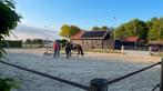 Kleinschalig trainingscomplex / stallen te huur in Welsum, Dieren en Toebehoren, Stalling en Weidegang, Stalling
