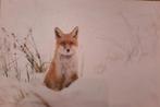 CANVAS AFBEELDING VOS, Diversen, Kerst, Ophalen of Verzenden, Nieuw