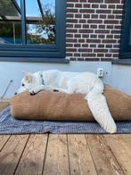 Dog's Companion kussen in okergeel ribfluweel, Dieren en Toebehoren, Ophalen, Zo goed als nieuw