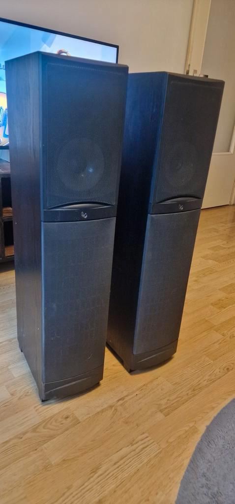 Infinity RS-4 vloerstaande speakers – hifi geluid, Audio, Tv en Foto, Luidsprekers, Zo goed als nieuw, Front, Rear of Stereo speakers