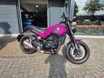 BENELLI LEONCINO 500 (bj 2022) beschikbaar voor biedingen