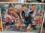 Jungle puzzel geplakt met lijst 70x50cm, Kinderen en Baby's, Kinderkamer | Inrichting en Decoratie, Ophalen, Overige typen