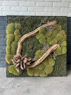 Mosschilderij 80x80 cm - Wanddecoratie, Huis en Inrichting, Woonaccessoires | Wanddecoraties, Ophalen, Zo goed als nieuw