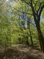 Te koop perceel Bosgrond gelegen te Arnhem 14.080m2, Huizen en Kamers, Kavels en Percelen, Arnhem, 1500 m² of meer